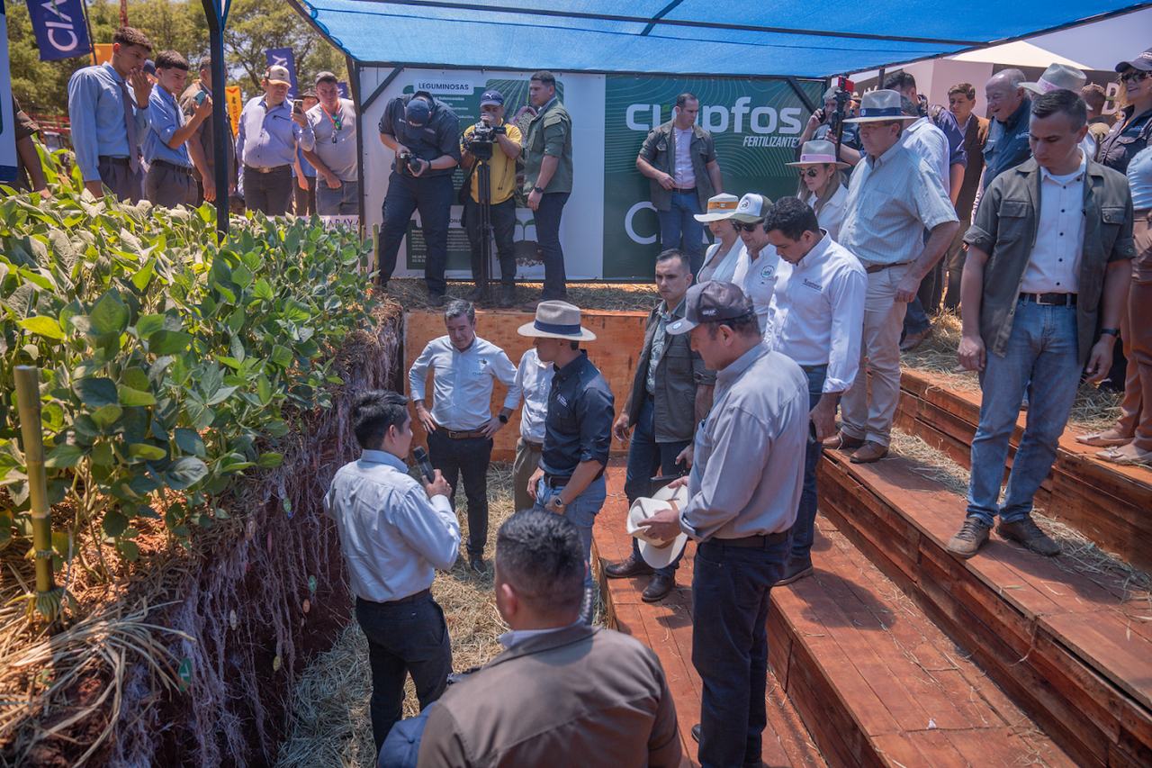 Equipo CIABAY junto a productores en un día de campo, observando el perfil de suelo de un cultivo de soja