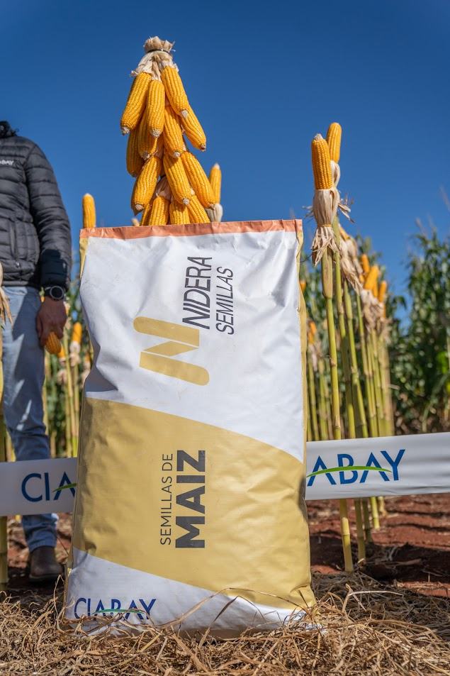 Bolsa de semillas de maíz Nidera en el campo