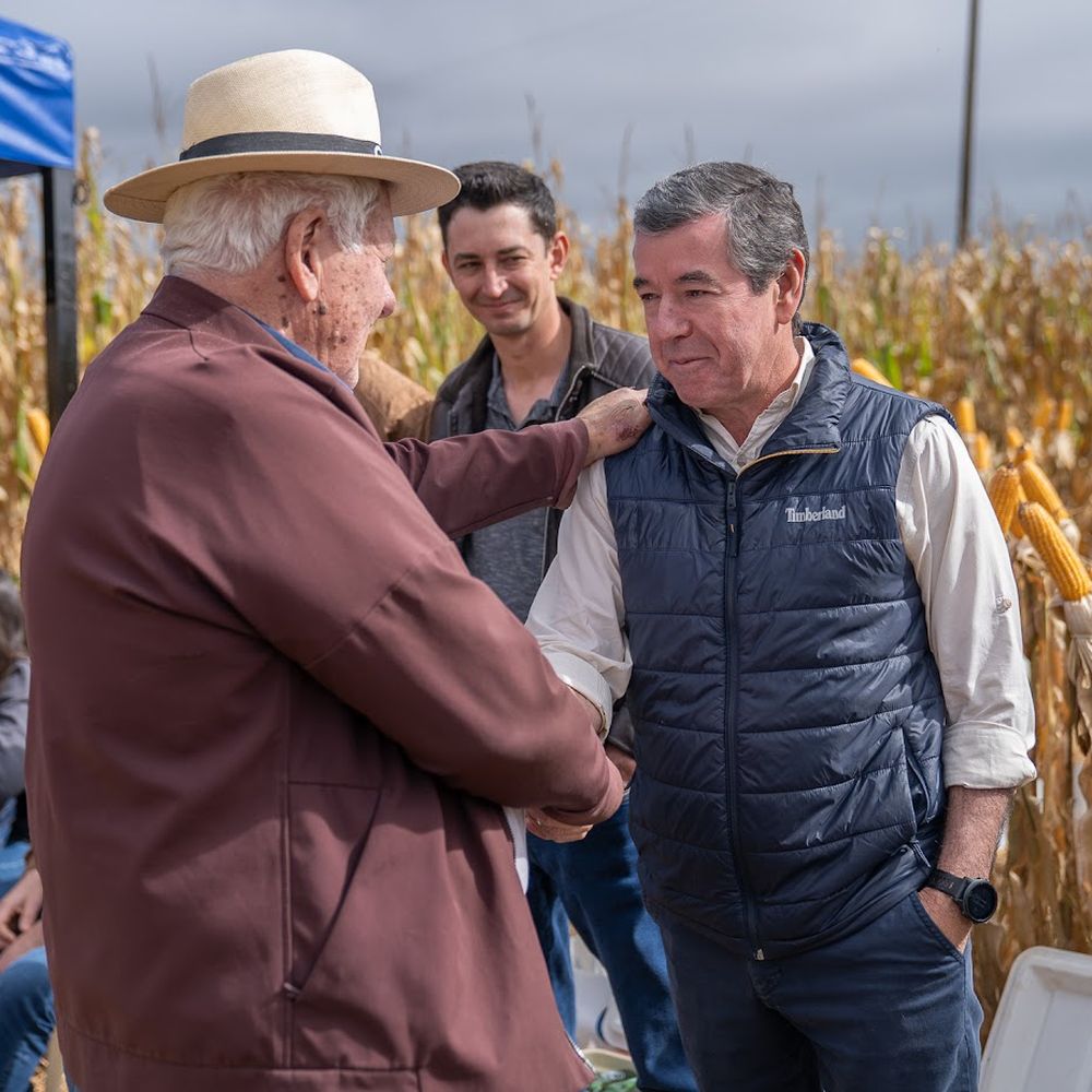 Productores saludándose en un día de campo de CIABAY en una parcela de maíz