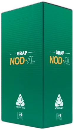 NOD AL