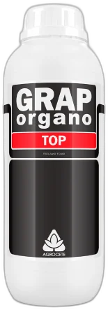 Organo Top
