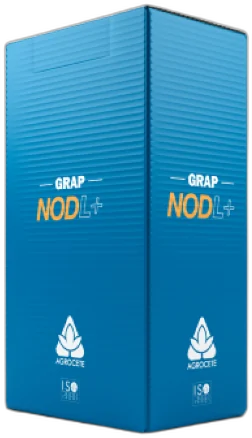 NOD L