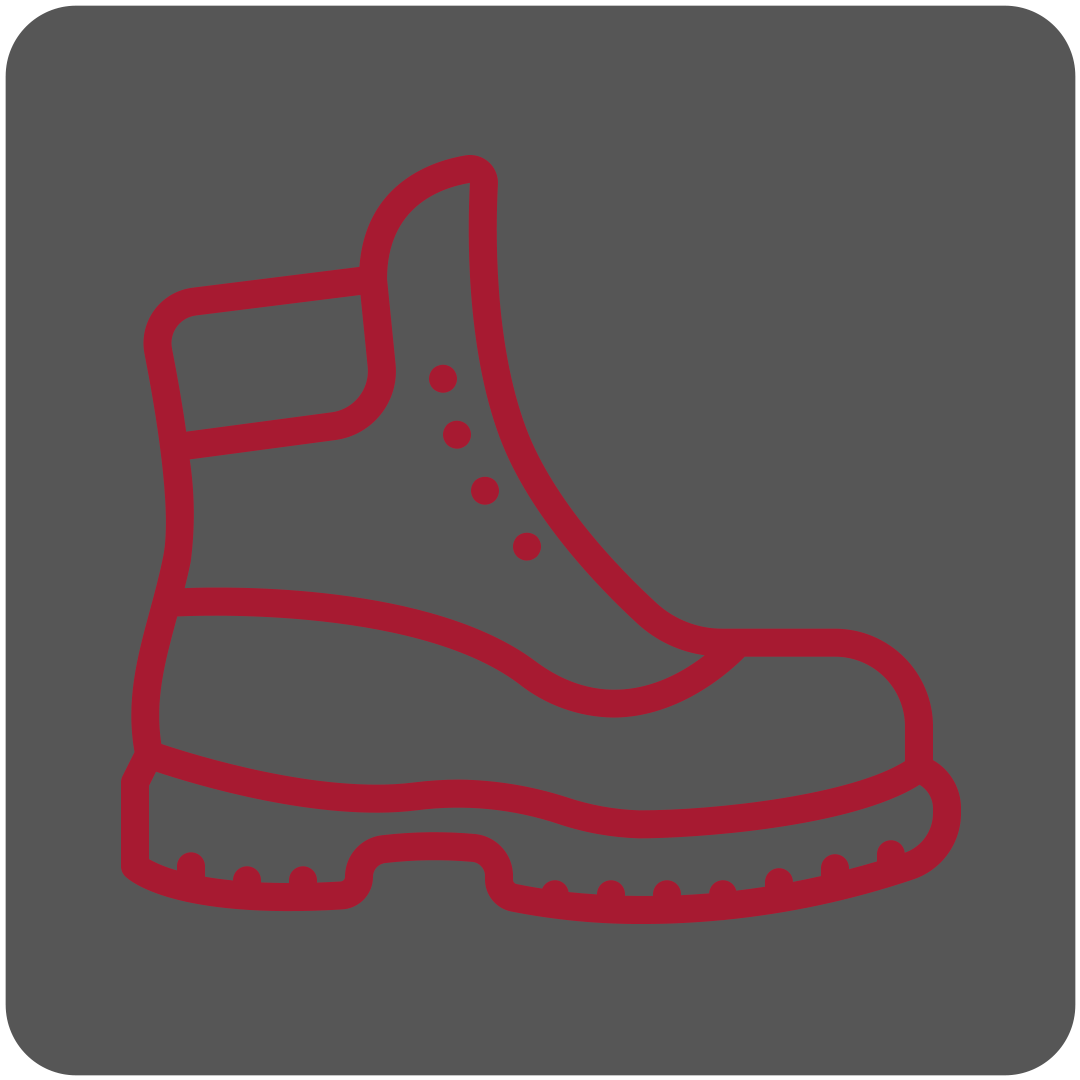 Botas