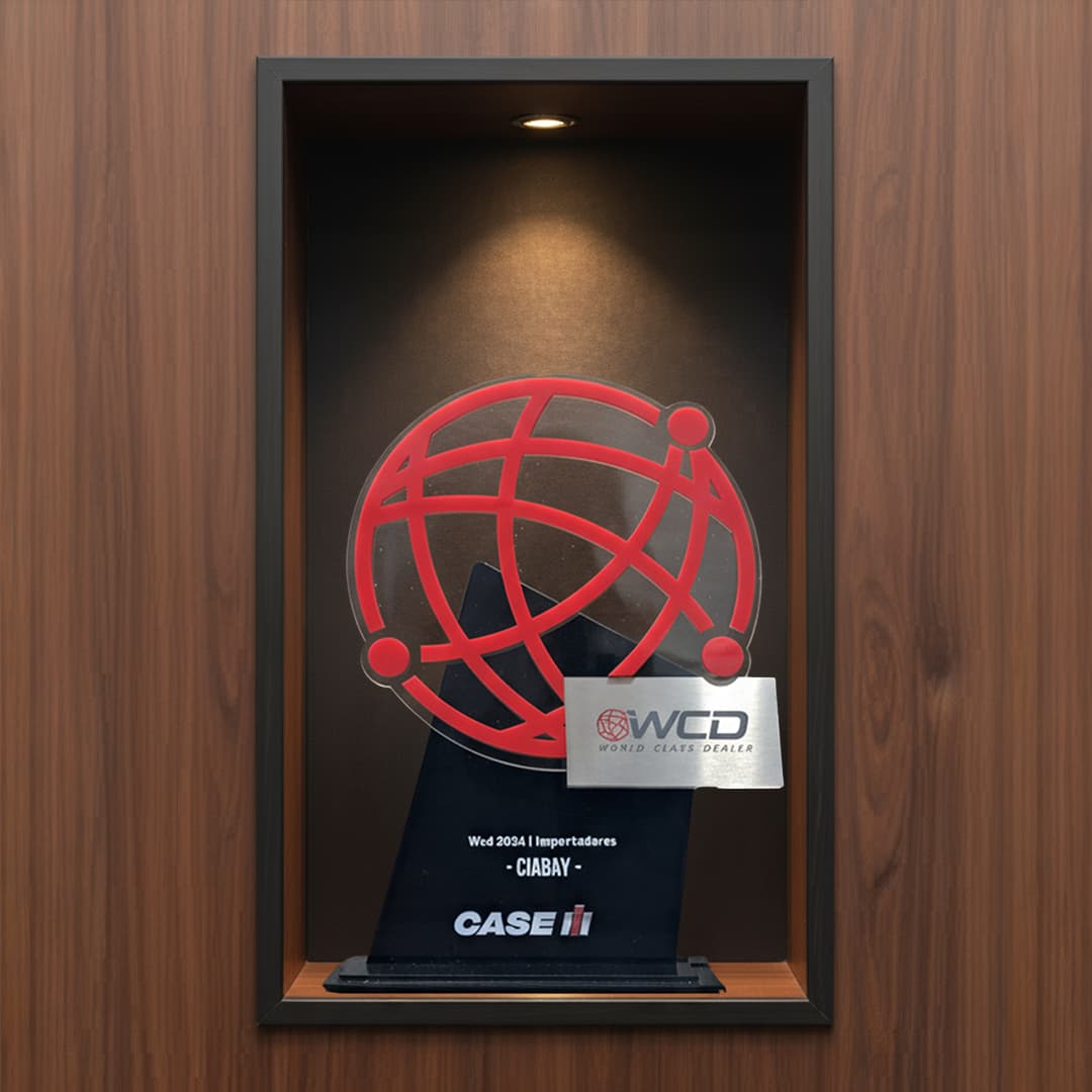 Importadores de clase Mundial WCD 2025.