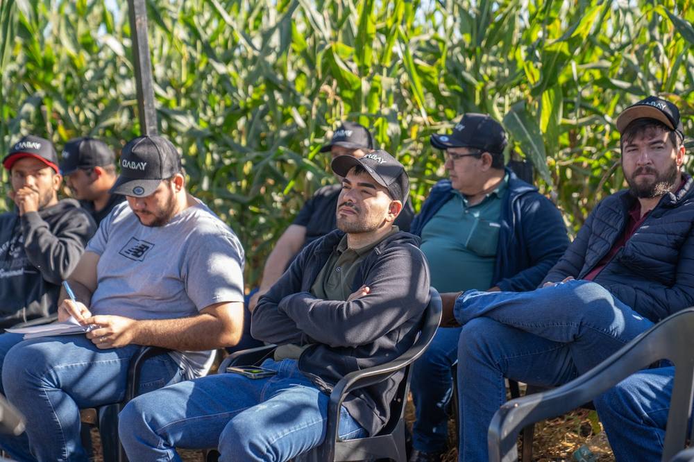Asistentes con gorras CIABAY siguiendo una charla técnica frente al maizal
