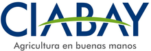 CIABAY