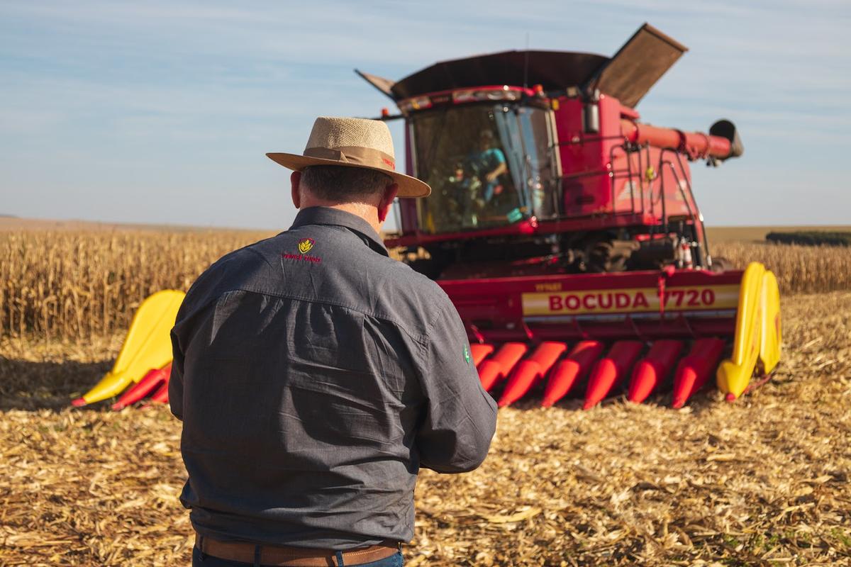 Cosechadora Case IH con plataforma maicera Vence Tudo Bocuda 7720 en plena cosecha