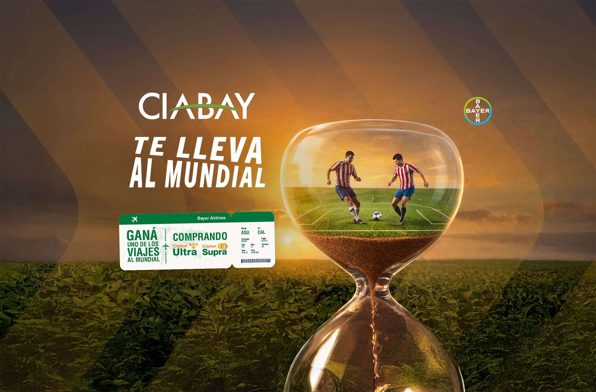 Ciabay - Agricultura en buenas manos