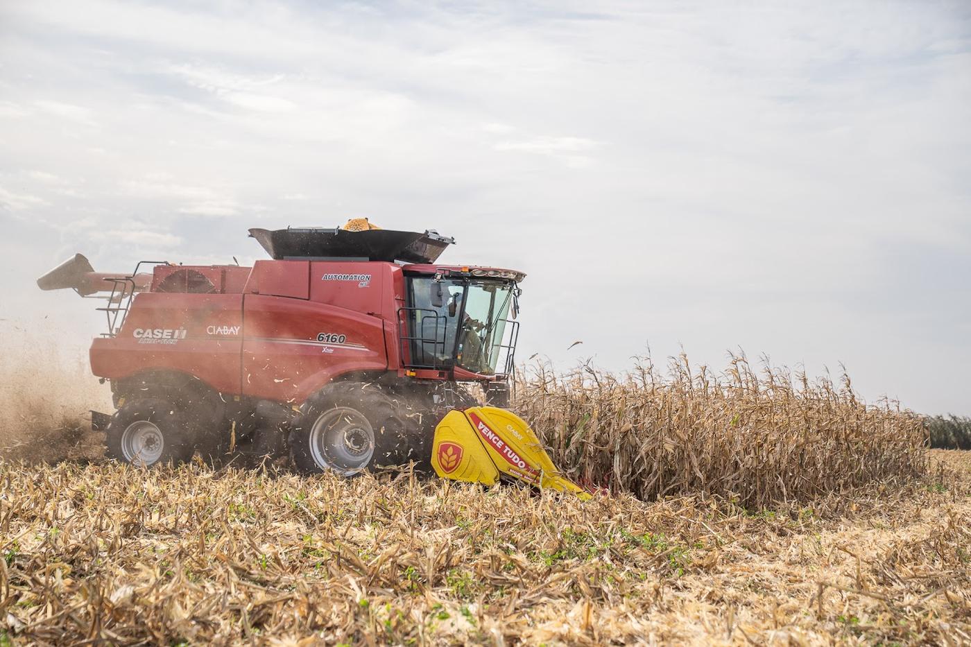 Axial-Flow 6160 Automation cosechando maíz con cabezal Vence Tudo